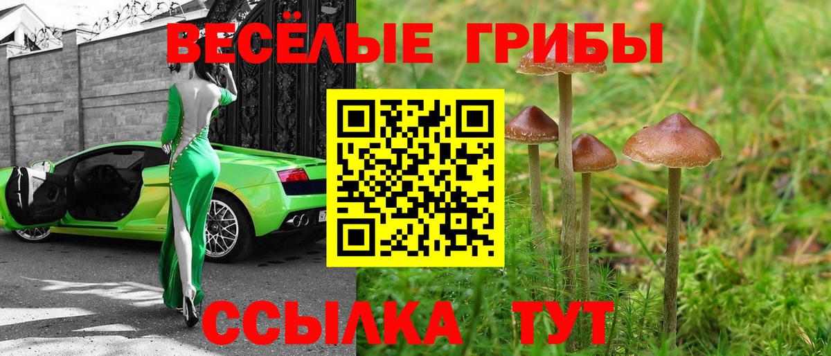 A-PVP Партизанск